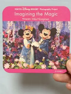 Tokyo Disney Imagining the Magic コースター — image 1