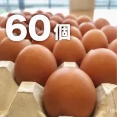 蔵王鶏園の「眠れる森のたまご」 — image 1