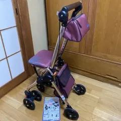 幸和製作所 シルバーカー テイコブナノン CPS02 — image 1