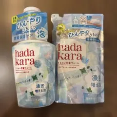 【限定品】hadakara 泡ボディソープ クールアクアミント 本体＋詰替セット — image 1