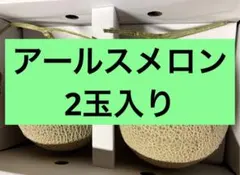 九州産アールスメロン　2玉 — image 1