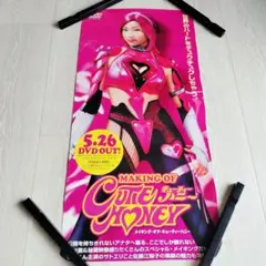 キューティーハニー 佐藤江梨子 ポスター 非売品 当時物 サイズ 257×540 — image 1
