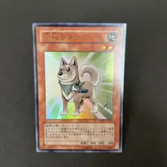 遊戯王　柴戦士タロ — image 1