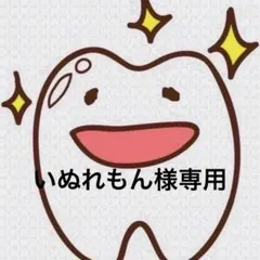 いぬれもん様専用ページ 歯ブラシ MS — image 1