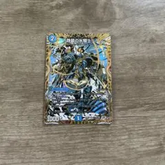 〜鉄装の氷騎士〜 フランツ・オブ・アイスエイジ シークレット　シク — image 1