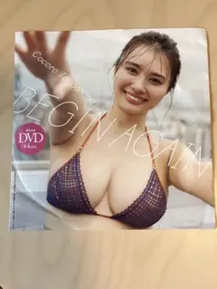 豊島心桜　週刊プレイボーイ　BEGIN AGAIN 特別付録DVD 未開封 — image 1