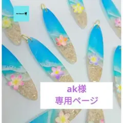 ak様 専用ページ — image 1