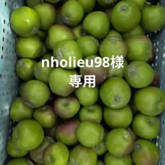 nholieu98様専用 — image 1