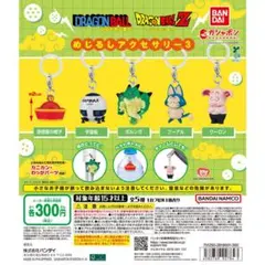 【新品未使用】ドラゴンボール めじるしアクセサリー3 宇宙船＆プーアル2点セット — image 1