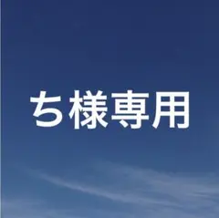 ち様　専用ページ — image 1