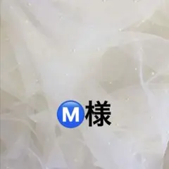 Ⓜ️様 — image 1