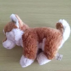 いぬのぬいぐるみRECALO(レンガ) 柴犬 — image 1