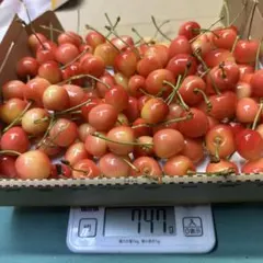 山形県　寒河江市産　さくらんぼ ナポサト 700g — image 1
