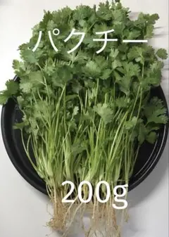 パクチー 香菜 コリアンダー 200g — image 1