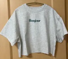 新品未使用coca ロゴ 半袖 ミニ裏毛Tシャツ 杢グレーLサイズレディース — image 1