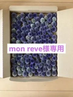 mon reve様専用　ヘッドのみ — image 1