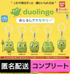 duolingo　めじるしアクセサリー　5種　コンプリート　ガチャ — image 1