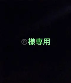®️様専用 — image 1