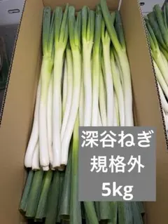 深谷ねぎ 夏ネギ 5キロ サイズバラバラ — image 1