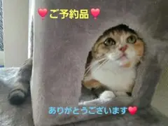 ❣️ご予約品❣️ — image 1