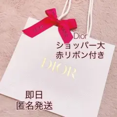 新品　Dior ディオール　ショッパー　ショップ袋　大サイズ　リボン付き — image 1