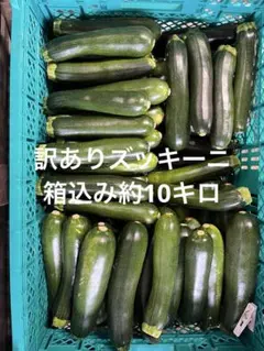 訳ありズッキーニ　箱込み約10キロ — image 1