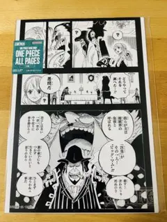 ONE PIECE ALL PAGES ベッジ — image 1
