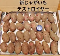 グランドペチカ(デストロイヤー)春新じゃがいも Sサイズ1.2Kg — image 1