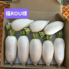 福ROU様専用★辛味大根『おいばね』コンパクト発送 — image 1