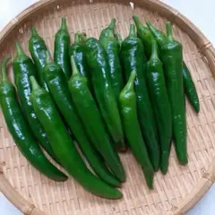 おじいの青唐辛子 — image 1