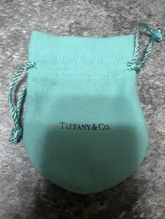 Tiffany & Co. 巾着袋 保存袋 — image 1