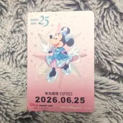 リゾートラインフリーきっぷ⭐未使用期限切⭐ジュビリーミニー⭐日付6/25 — image 1