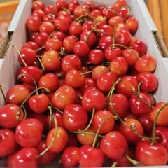 T　加工用　紅秀峰　１ｋｇ — image 1