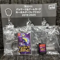 ✨匿名配送✨ポケモン バイオレット パッケージ＆ゲームカードキーホルダー — image 1