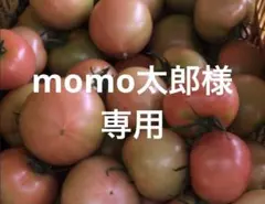 momo太郎様　専用 — image 1