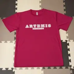 ARTEMIS HOKKAIDO アルテミス ピンクTシャツ Lサイズ — image 1