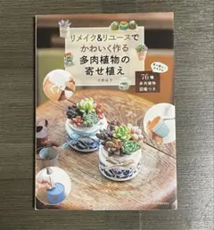 リメイク&リユースでかわいく作る多肉植物の寄せ植え — image 1
