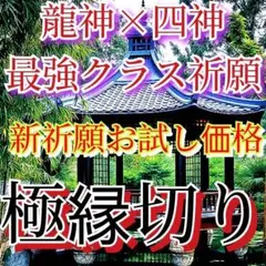 龍神&陰陽道コラボ記念‼️残り2名様‼️強制縁切り 占い 霊視 開運 — image 1
