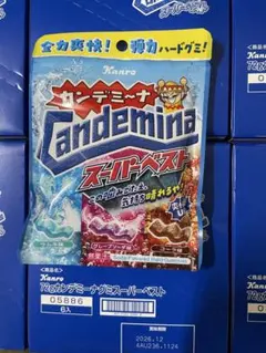 カンデミーナ　スーパーベスト　12個　送料込み1個149円 — image 1