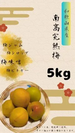 和歌山県産 紀州完熟南高梅 5kg — image 1