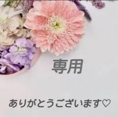 えー ※購入前にコメント下さい！様専用 — image 1