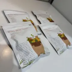 【４袋セット】ミックスドライフルーツ 100g×４袋 — image 1