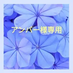 アンバー様専用 — image 1