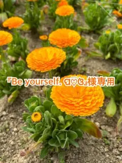 専用 — image 1