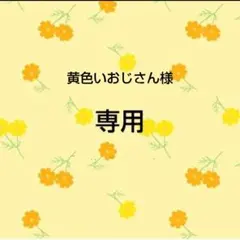 黄色いおじさん様　専用おまとめ品 — image 1