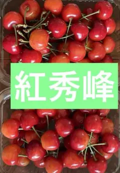 さくらんぼ　紅秀峰 — image 1