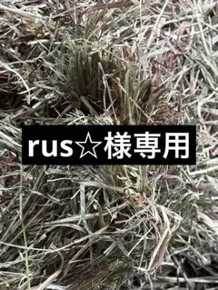 rus☆様専用 — image 1