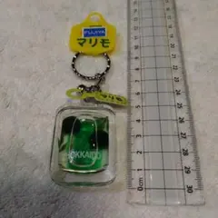 北海道 限定マリモキーホルダー — image 1