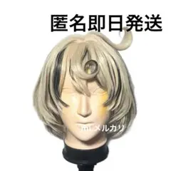 送料込 ゼンゼロ コスプレ ウィッグ イドリー 匿名 即日発送 — image 1
