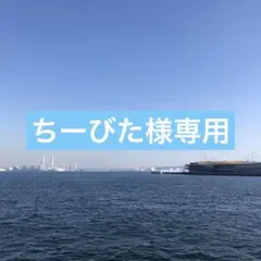 ちーびた様専用 — image 1